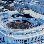 Yankee